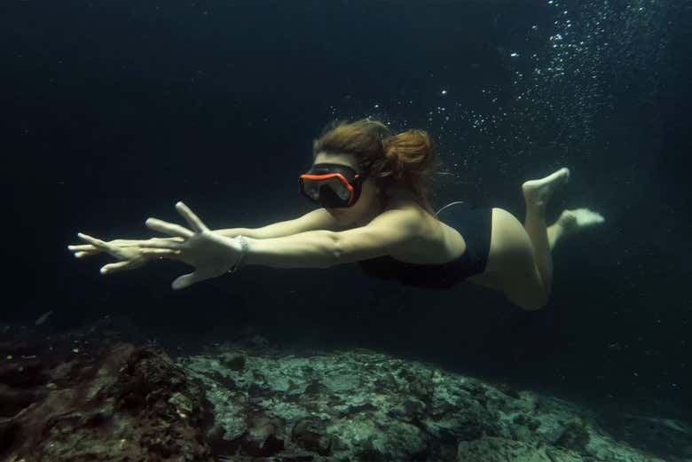 Cenotes en Puerto Morelos + Cata de tequila