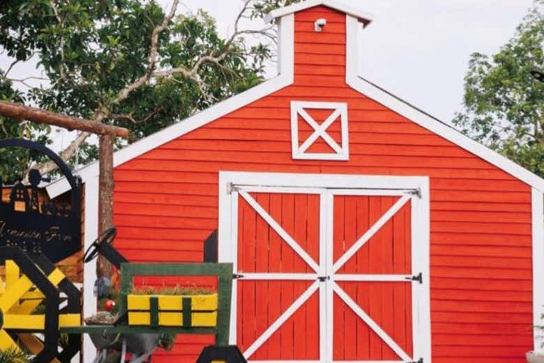 Visita a una granja de Moca