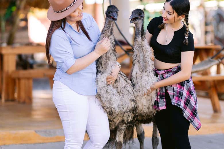 Visita a una granja de Moca
