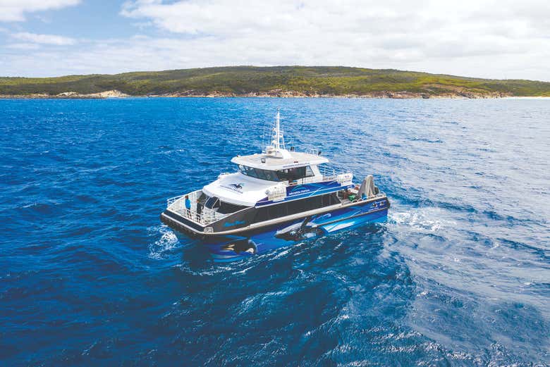 Avistamiento de ballenas en la bahía Geographe