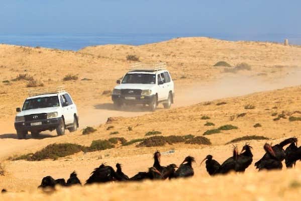 Excursión a Tiznit + Desert Safari