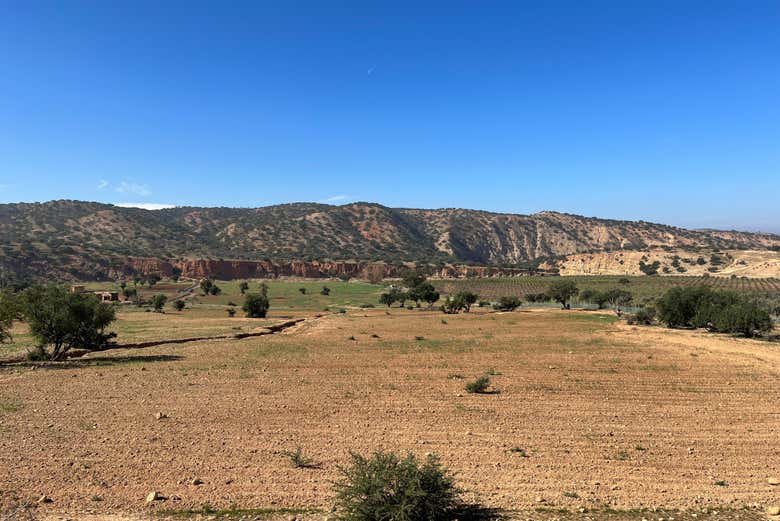 Excursión a Tiznit + Desert Safari