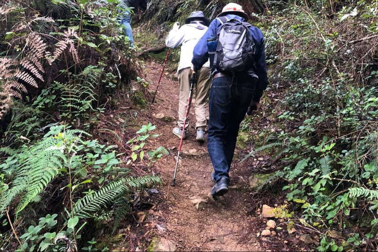 Excursión al Salto de Aguas Blancas