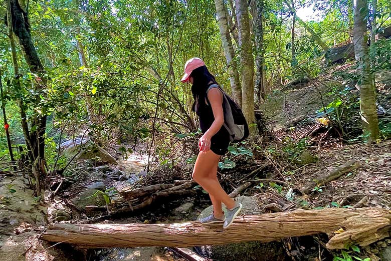 Tour por el Jardín Botánico y Los Veranos - Galería 1