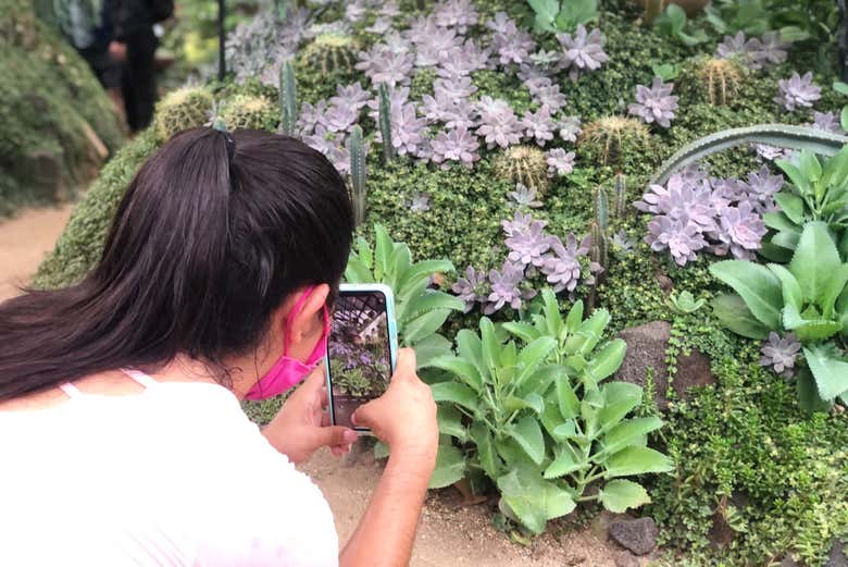 Tour por el Jardín Botánico y Los Veranos - Galería 2