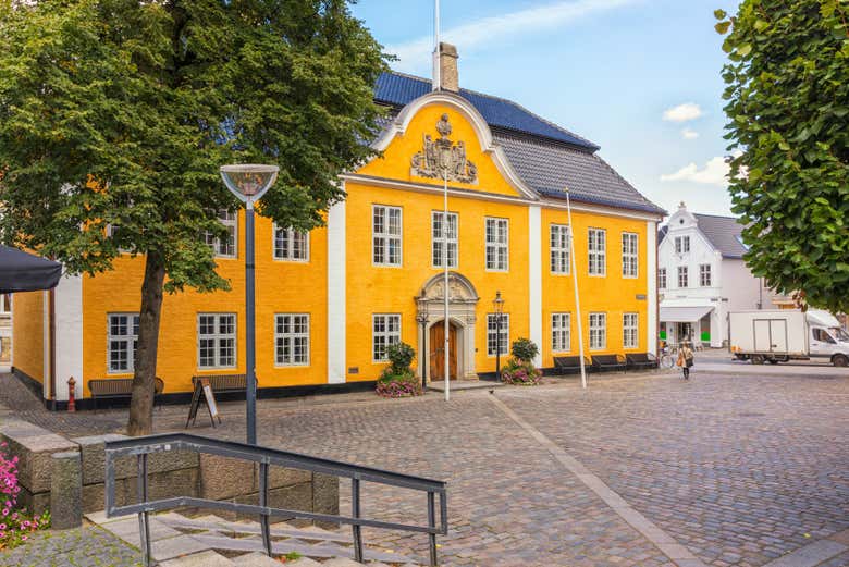 Tour privado por Aalborg