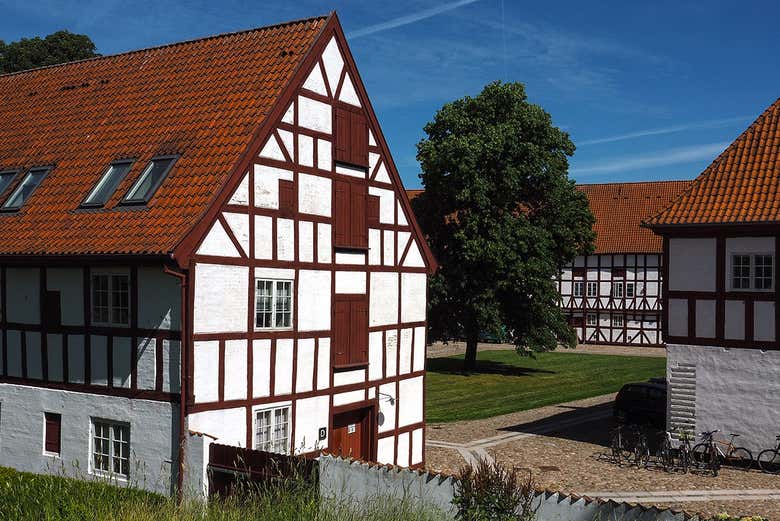 Tour privado por Aalborg