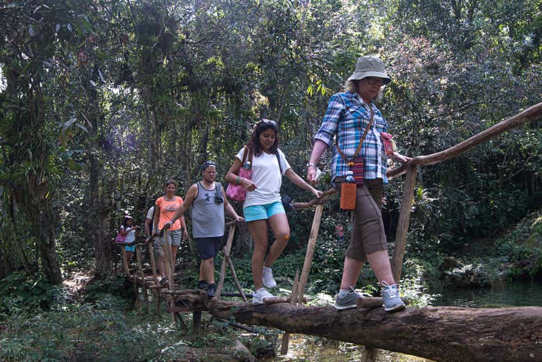 Excursión al Parque Guanayara de Topes de Collantes