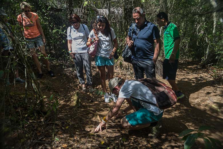 Excursión al Parque Guanayara de Topes de Collantes