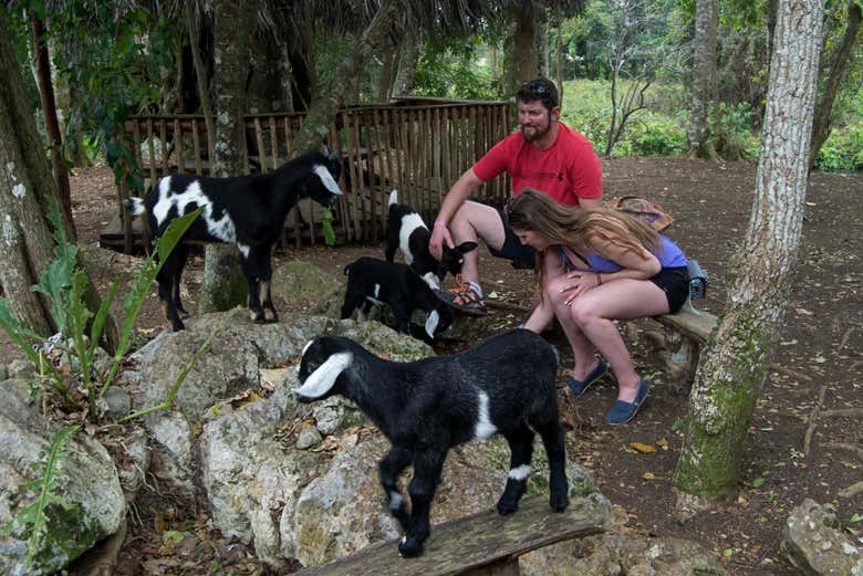Jeep Safari por los alrededores de Yaguajay