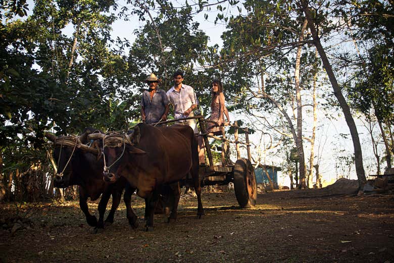 Jeep Safari por los alrededores de Yaguajay