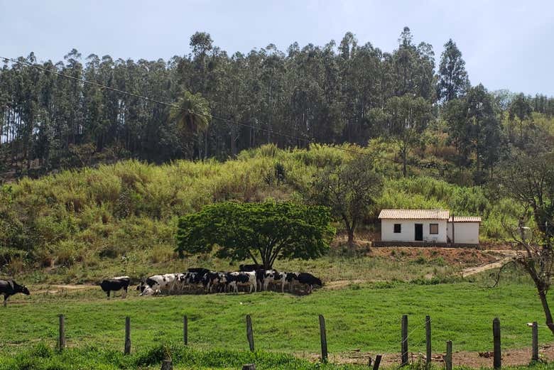 Excursión a Monte Sião, Serra Negra, Amparo y Pedreira