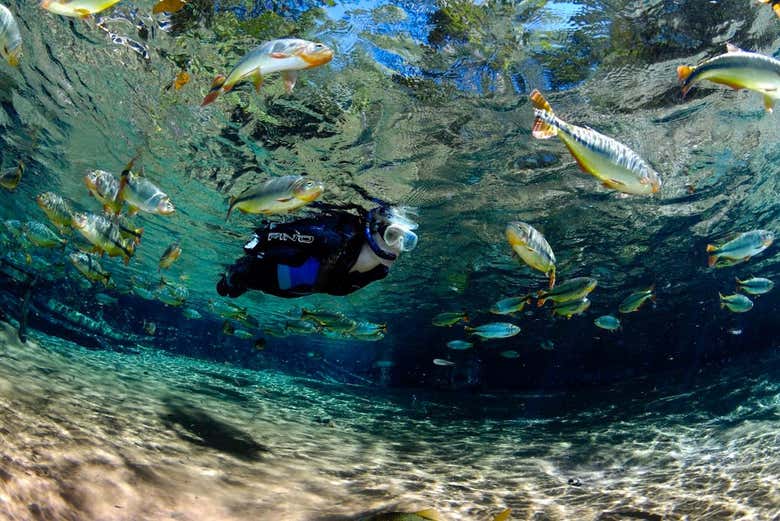Excursión al Aquário Encantado de Nobres
