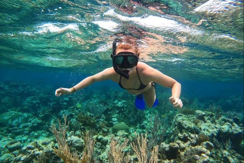 Snorkel en Providencia