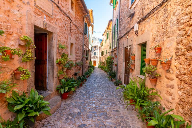 Excursión a Palma y Valldemosa - Galería 2