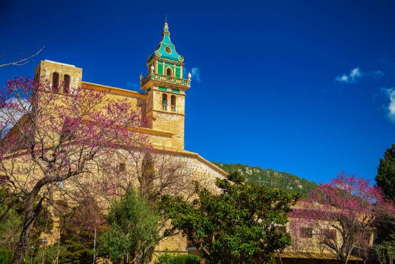 Excursión a Palma y Valldemosa