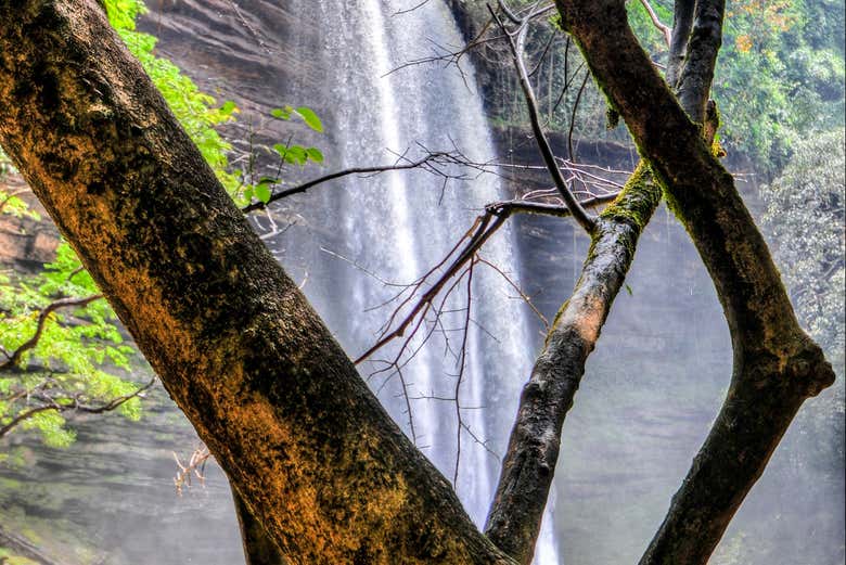 Excursión a las cataratas Boti y Jardín Botánico de Aburi