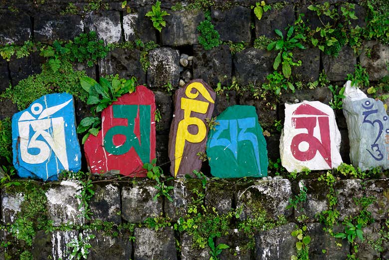 Visita guiada por McLeod Ganj