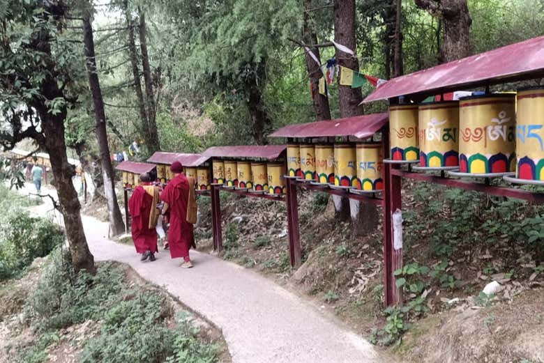 Visita guiada por McLeod Ganj
