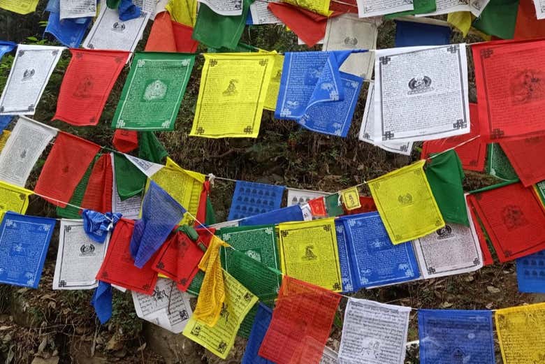Visita guiada por McLeod Ganj