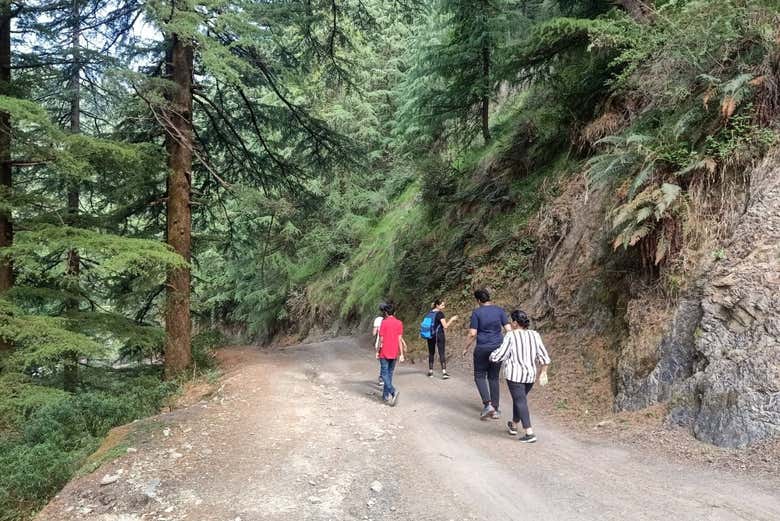 Visita guiada por McLeod Ganj