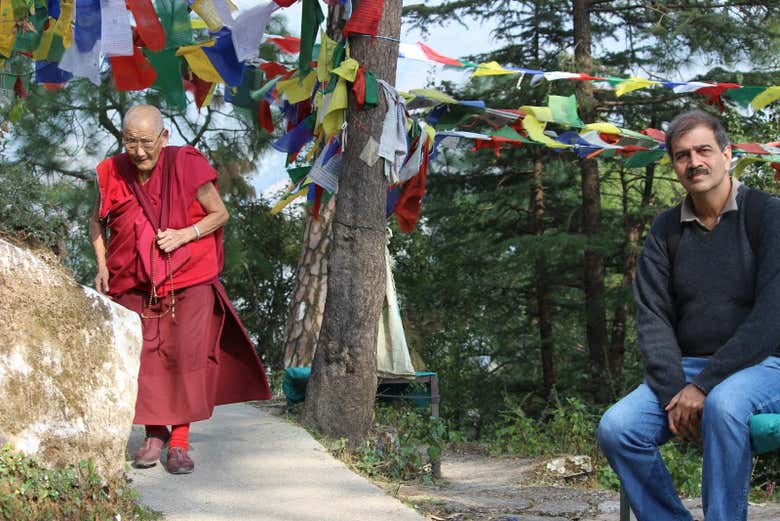 Tour de la cultura budista por Dharamshala