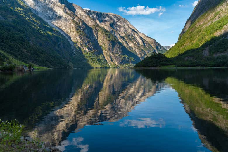 Tour en kayak por el fiordo de Nærøy