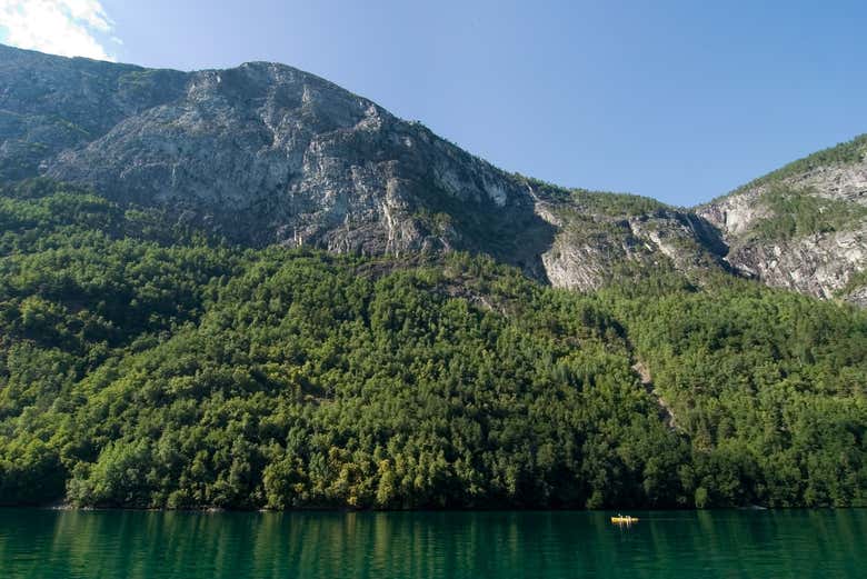 Tour en kayak por el fiordo de Nærøy