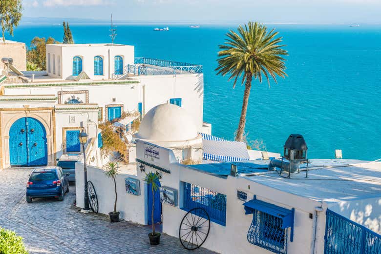 Tour por Túnez, Cartago y Sidi Bou Said para cruceros