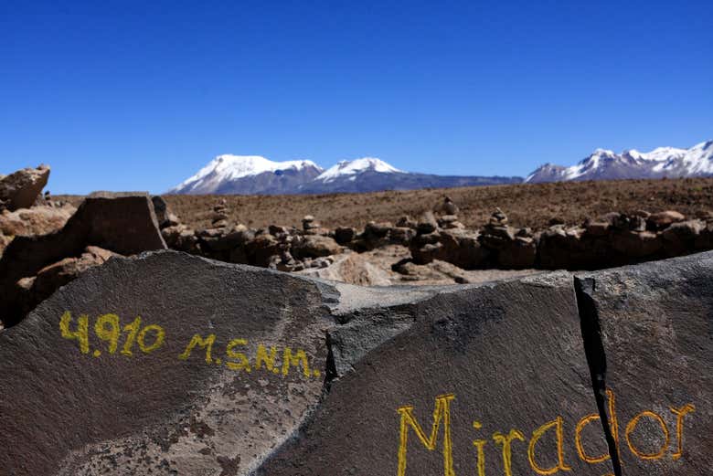 Excursión a la Reserva Nacional de Salinas y Aguada Blanca finalizando en Puno