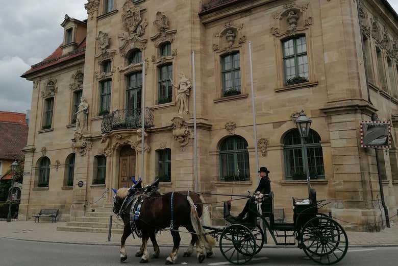 Tour privado por Ellingen