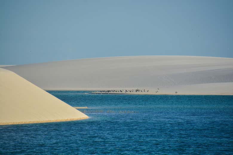 Excursión a la Lagoa das Emendadas