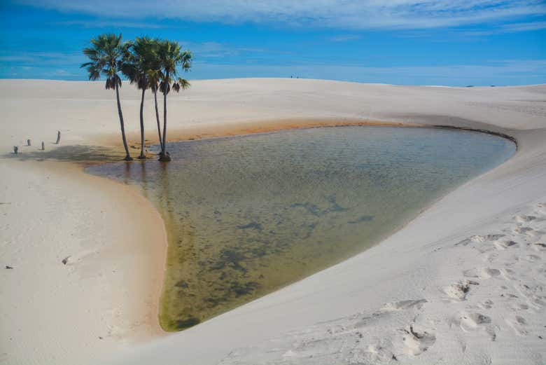 Tour por las lagunas Santo Amaro y das Américas