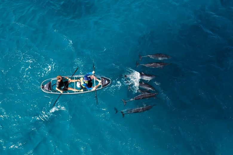 Tour en kayak transparente por Fernando de Noronha