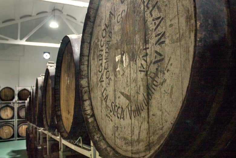 Visita a la bodega Cuatro Rayas