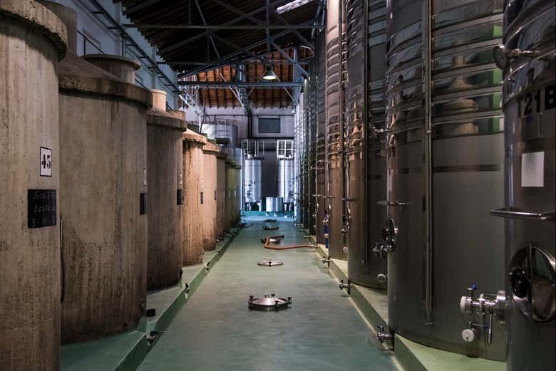 Visita a la bodega Cuatro Rayas