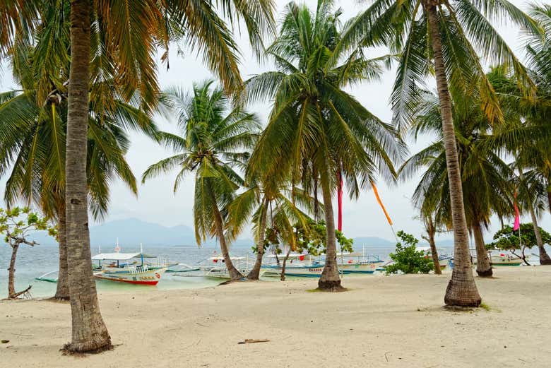 Excursión en barco a las islas de Honda Bay - Galería 1