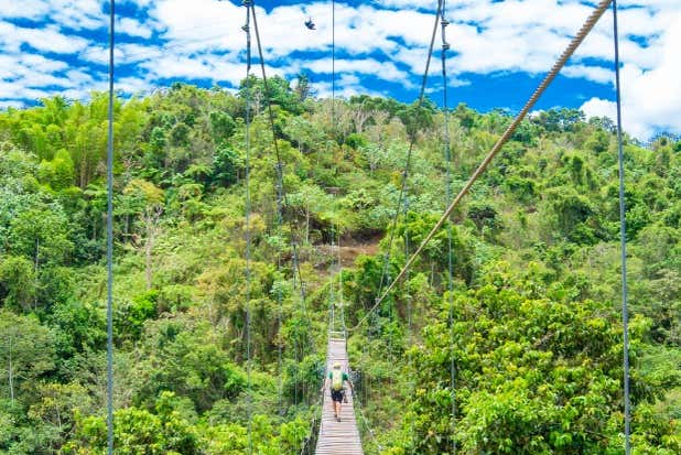 Puentes colgantes en Toro Verde Eco Adventure Park