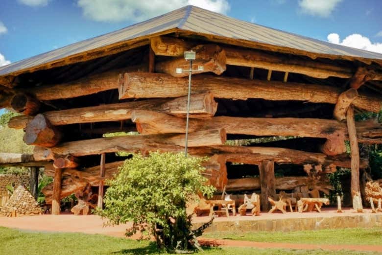 Excursión a Puerto Iguazú