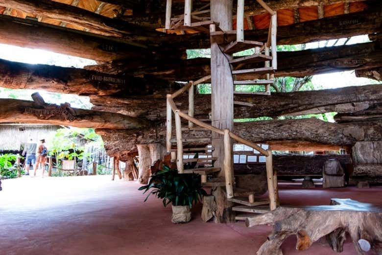 Excursión a Puerto Iguazú