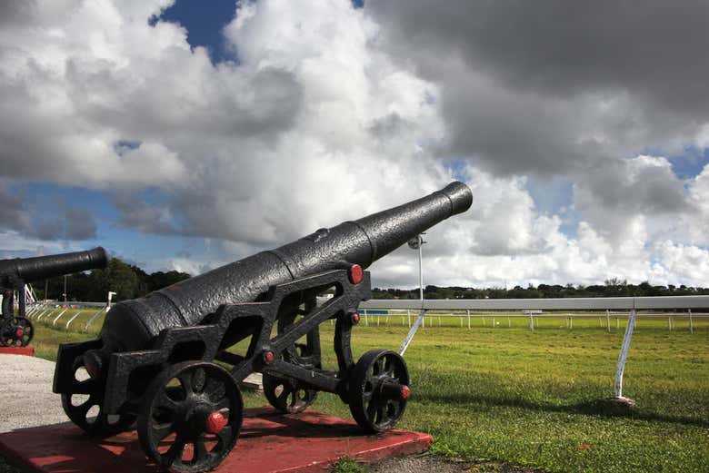 Visita guiada por la Guarnición Militar