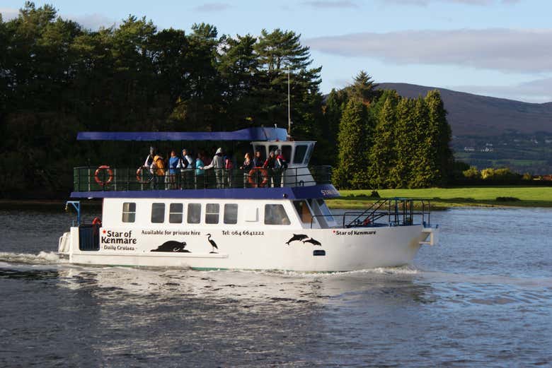 Paseo en barco por la bahía de Kenmare