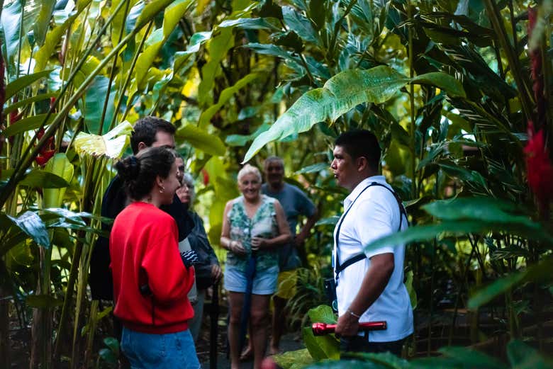 Tour de 2 o 3 días por el Parque Nacional Tortuguero