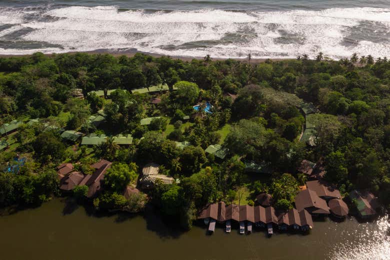 Tour de 2 o 3 días por el Parque Nacional Tortuguero