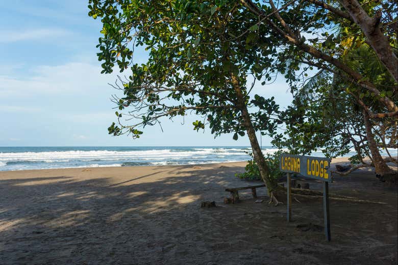 Tour de 2 o 3 días por el Parque Nacional Tortuguero