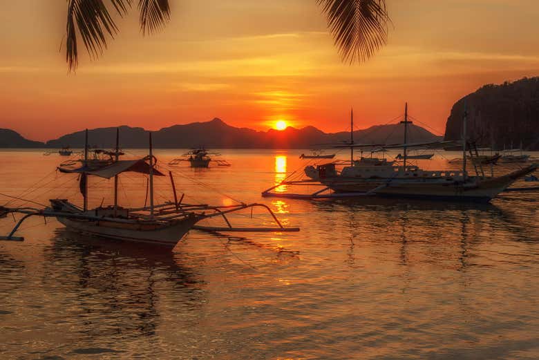 Crucero nocturno por Puerto Princesa