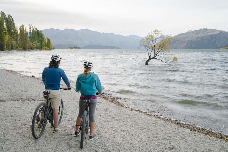 Alquiler de bicicleta en el lago Hawea + Transporte desde Wanaka
