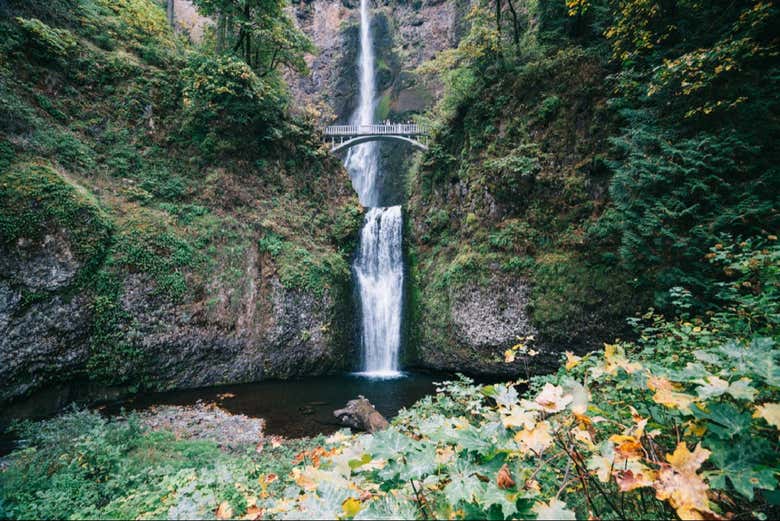 Excursión a las cataratas Multnomah y Monte Hood - Galería 1