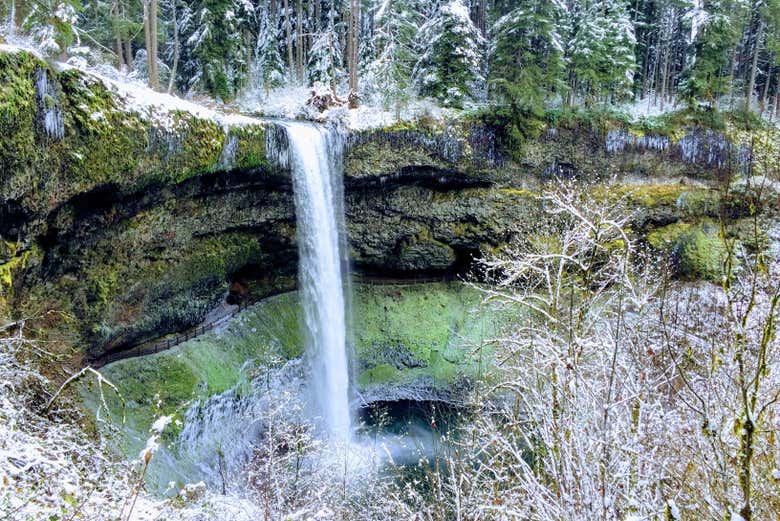 Excursión al Parque Estatal Silver Falls - Galería 1