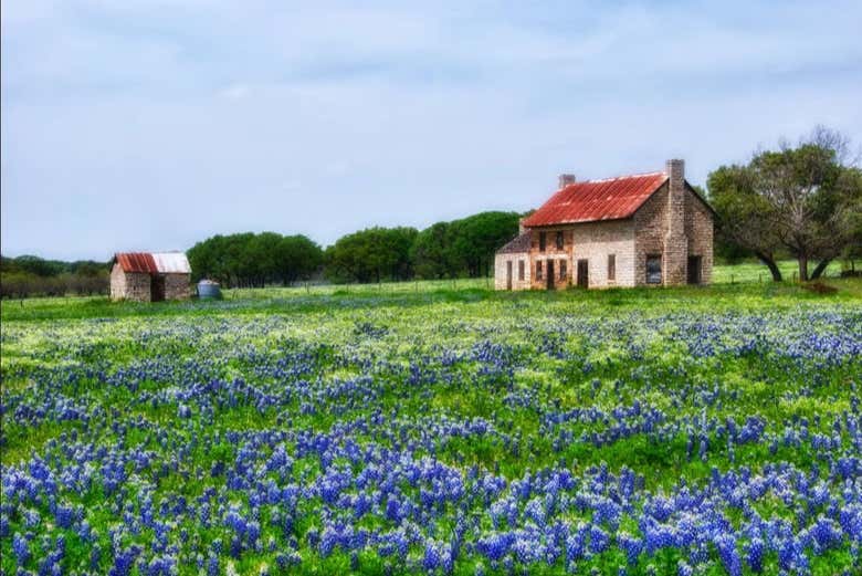 Excursión a Texas Hill Country - Galería 2